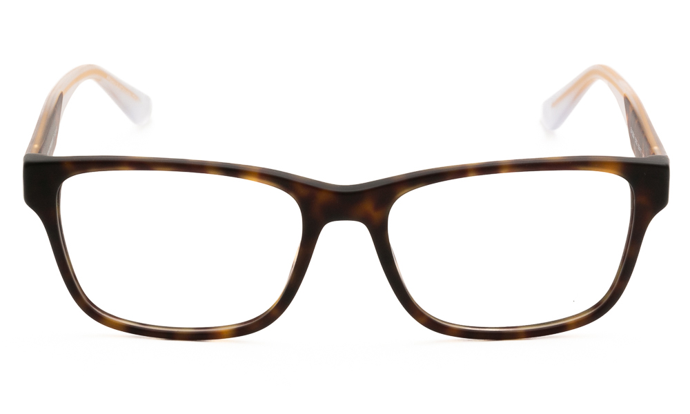 ΣΚΕΛΕΤΟΣ ΟΡΑΣΕΩΣ EMPORIO ARMANI 3239 5002 5517 2