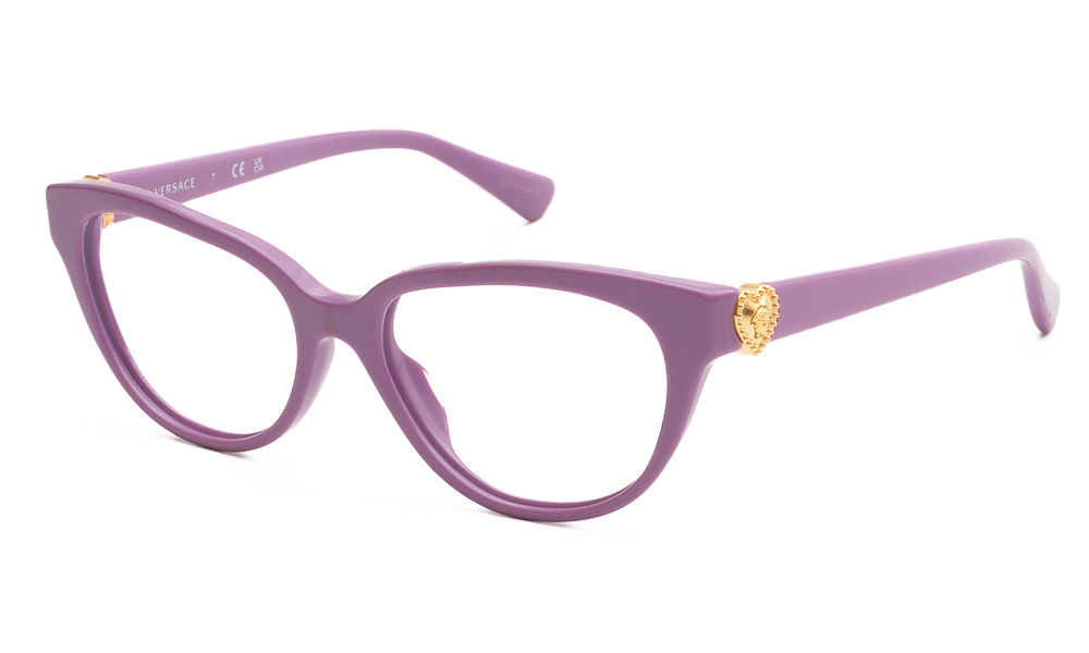 EYEWEAR VERSACE VK3004 5424 4815 1