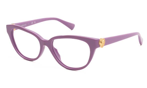 EYEWEAR VERSACE VK3004 5424 4815