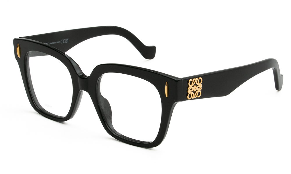 ΣΚΕΛΕΤΟΣ ΟΡΑΣΕΩΣ LOEWE 50069I 001 5119 1