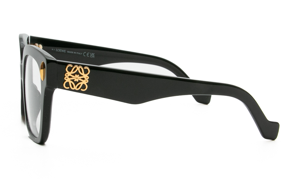 ΣΚΕΛΕΤΟΣ ΟΡΑΣΕΩΣ LOEWE 50069I 001 5119 3