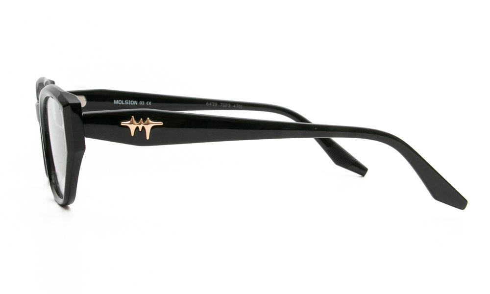 ΣΚΕΛΕΤΟΣ ΟΡΑΣΕΩΣ MOLSION MJ5170 B10 5219 3