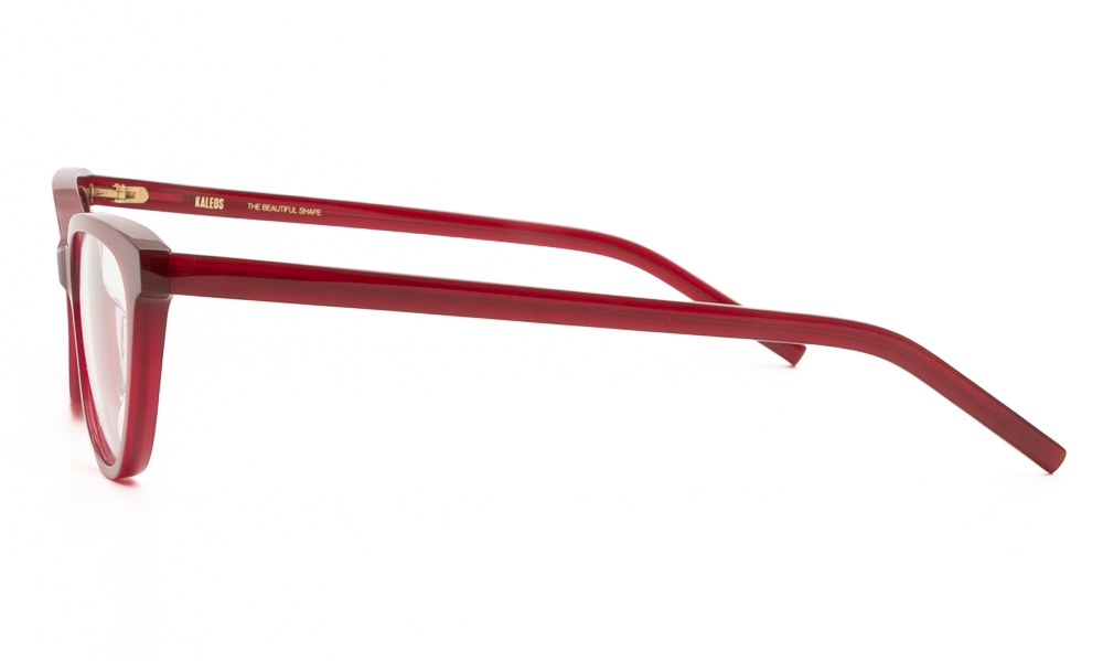 ΣΚΕΛΕΤΟΣ ΟΡΑΣΕΩΣ KALEOS STAPLES 3 5316 3