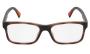 EYEWEAR POLO R. LAUREN 2301U 6070 5617