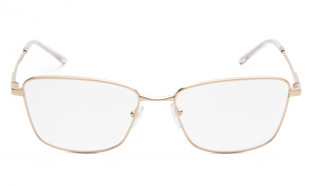 ΣΚΕΛΕΤΟΣ ΟΡΑΣΕΩΣ EMPORIO ARMANI 1185B 3013 5617 2
