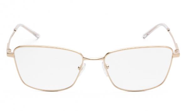ΣΚΕΛΕΤΟΣ ΟΡΑΣΕΩΣ EMPORIO ARMANI 1185B 3013 5617 - 2