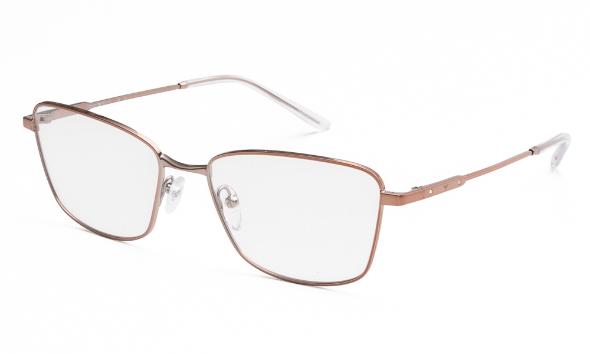 ΣΚΕΛΕΤΟΣ ΟΡΑΣΕΩΣ EMPORIO ARMANI 1185B 3011 5417