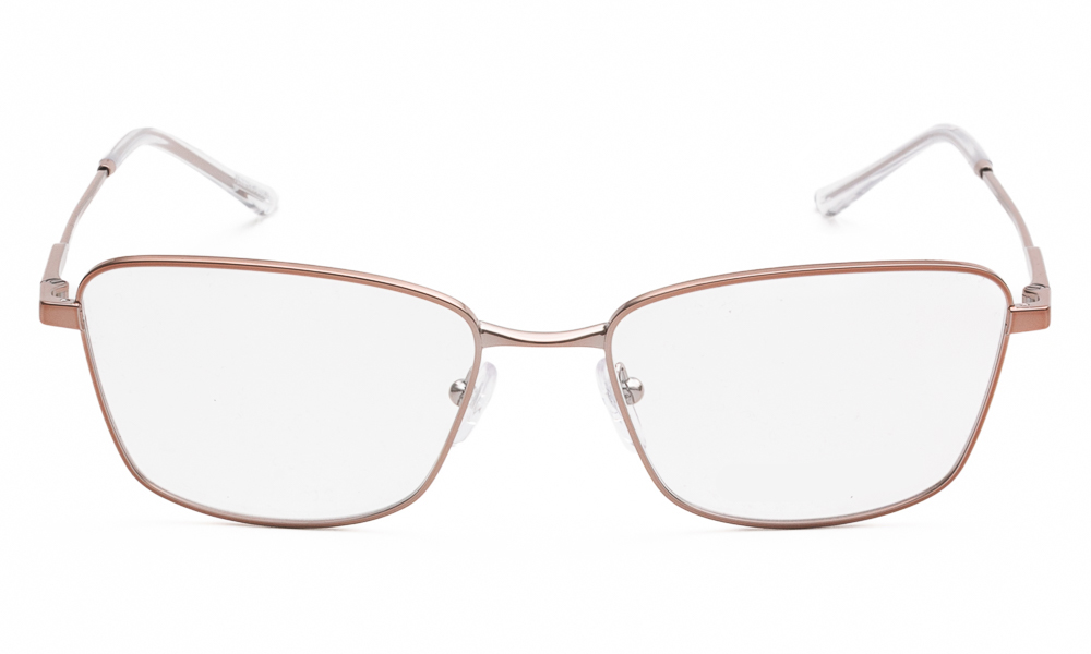 ΣΚΕΛΕΤΟΣ ΟΡΑΣΕΩΣ EMPORIO ARMANI 1185B 3011 5417 2