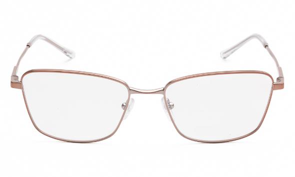 ΣΚΕΛΕΤΟΣ ΟΡΑΣΕΩΣ EMPORIO ARMANI 1185B 3011 5417 - 2