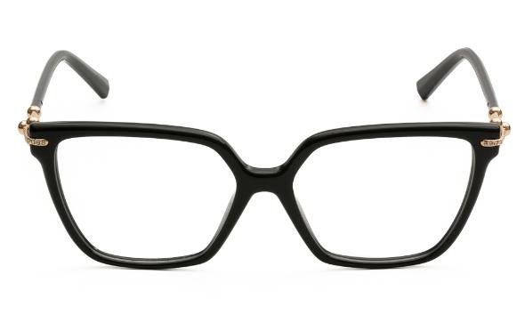 ΣΚΕΛΕΤΟΣ ΟΡΑΣΕΩΣ TIFFANY & CO 2290BU 8001 5515 - 2