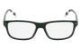 EYEWEAR POLO R. LAUREN 2302U 6316 5517