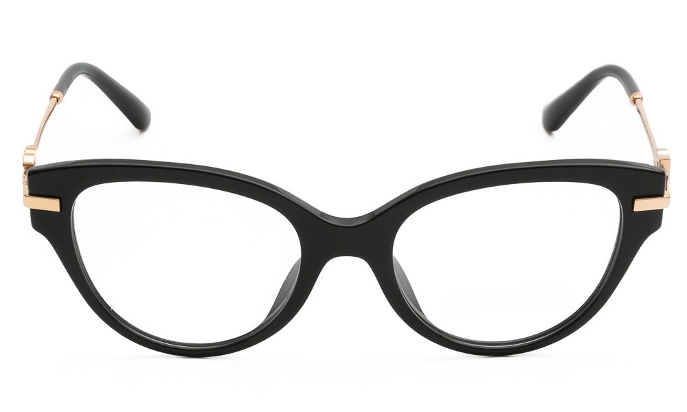 ΣΚΕΛΕΤΟΣ ΟΡΑΣΕΩΣ DOLCE & GABBANA 3438 501 5319 2