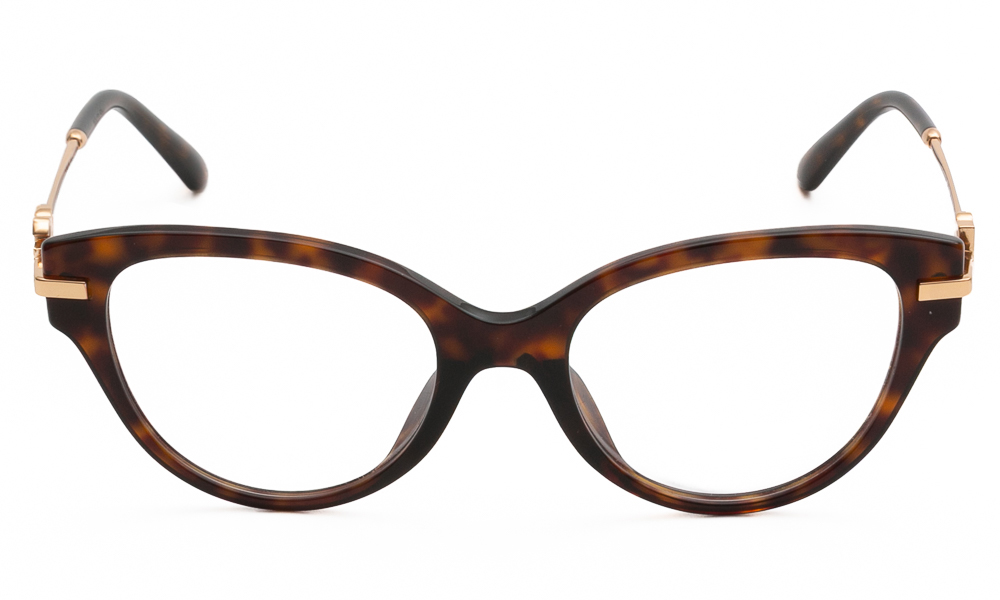 ΣΚΕΛΕΤΟΣ ΟΡΑΣΕΩΣ DOLCE & GABBANA 3438 502 5319 2