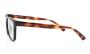 ΣΚΕΛΕΤΟΣ ΟΡΑΣΕΩΣ ARNETTE 4376 & CLIP 30451W 5517