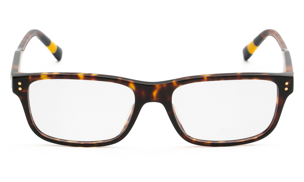 EYEWEAR POLO R. LAUREN 2302U 5003 5517 2