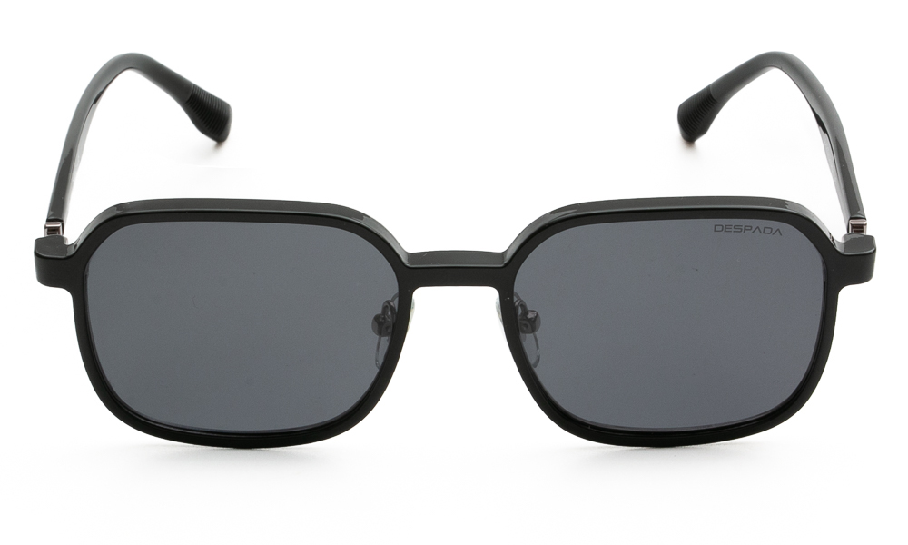 EYEWEAR DESPADA 5310 & CLIP C2 5418 2