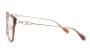 EYEWEAR BOLON BA6061 B21 5219