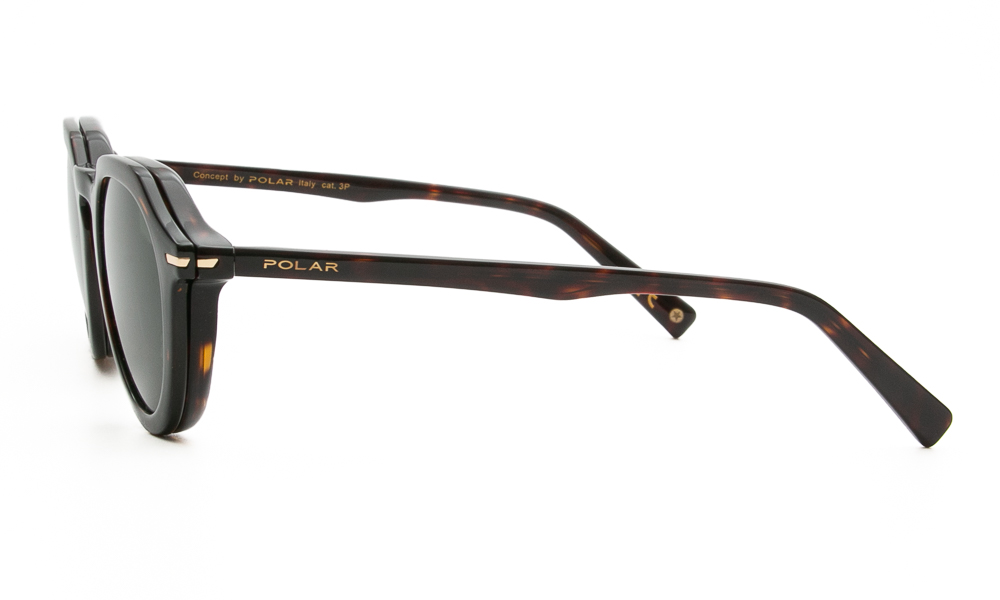 EYEWEAR POLAR GOLD 7024 & CLIP 428 4923 3