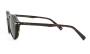 EYEWEAR POLAR GOLD 7024 & CLIP 428 4923