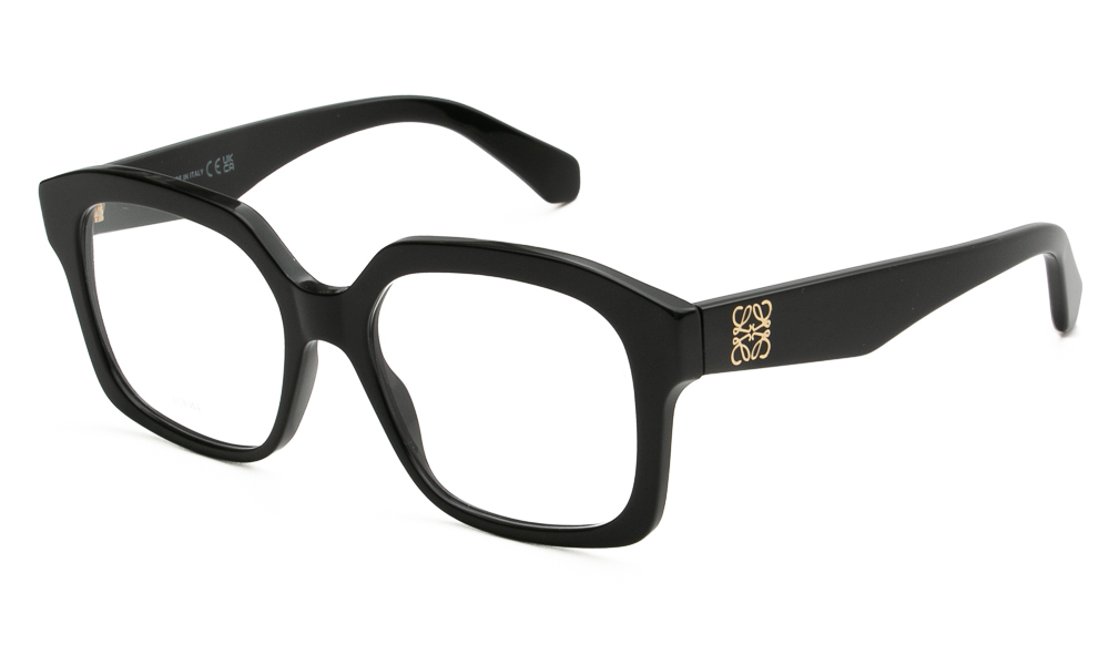 ΣΚΕΛΕΤΟΣ ΟΡΑΣΕΩΣ LOEWE 50119I 001 5317 1