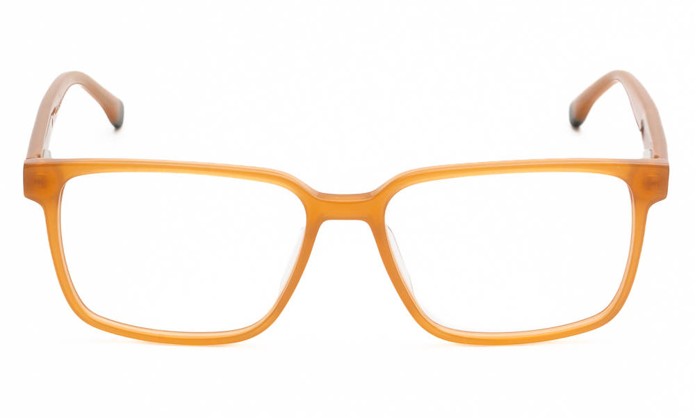 ΣΚΕΛΕΤΟΣ ΟΡΑΣΕΩΣ WESTWOOD 2319AM C3 5616 2