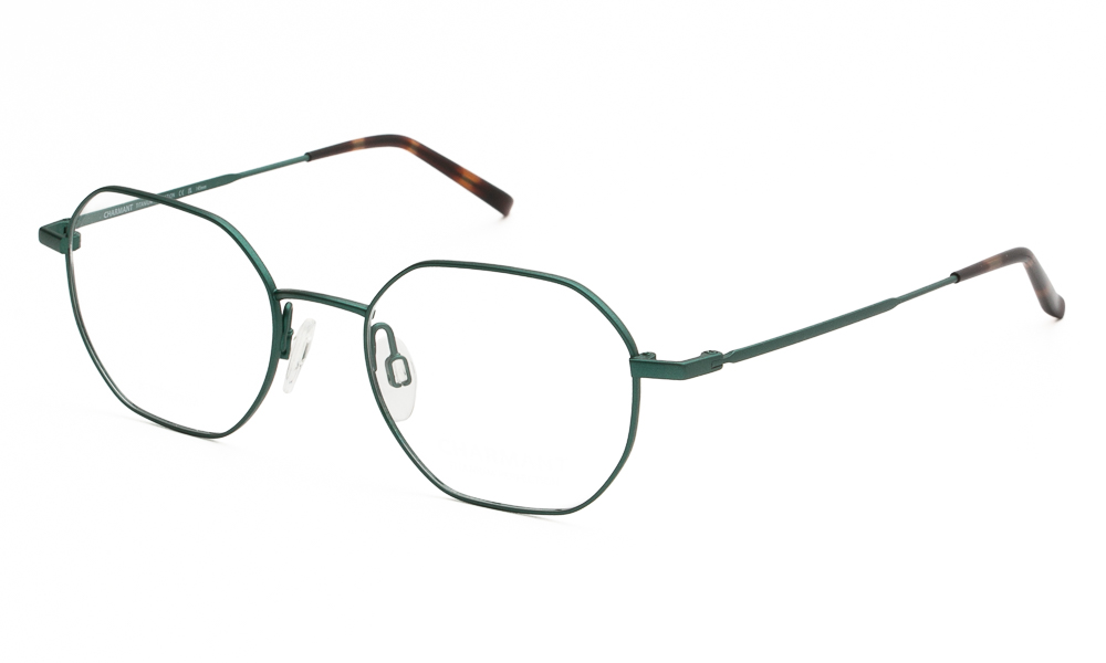 ΣΚΕΛΕΤΟΣ ΟΡΑΣΕΩΣ CHARMANT CH29758 GN 4818 1