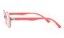 EYEWEAR DESPADA 388 C5 3816