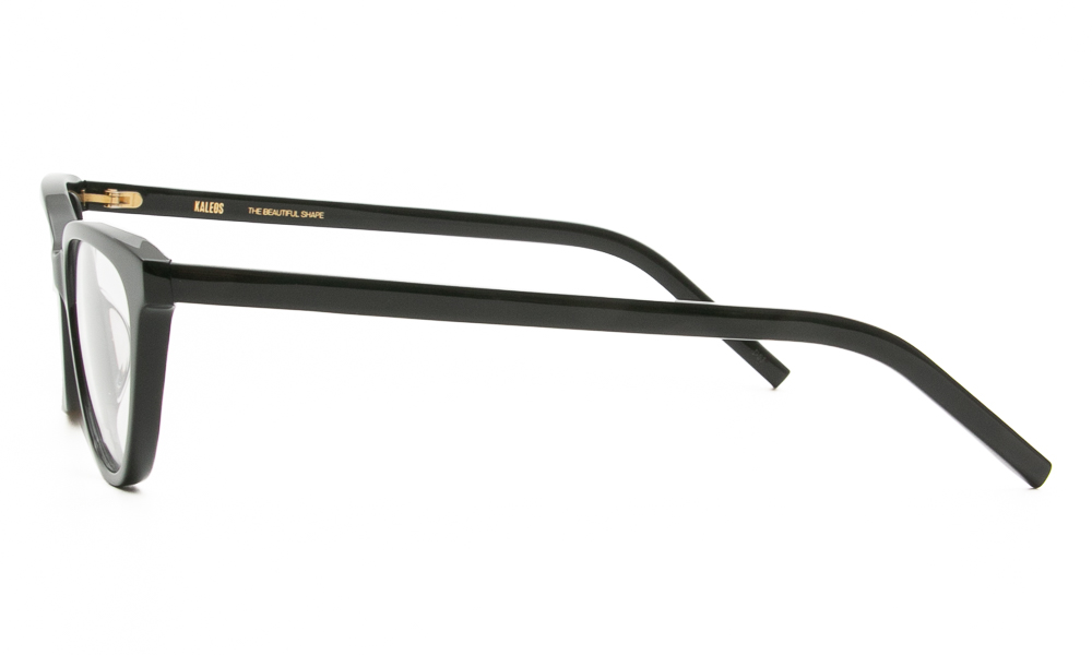 EYEWEAR KALEOS STAPLES 1 5316 3