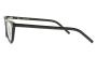 EYEWEAR KALEOS STAPLES 1 5316