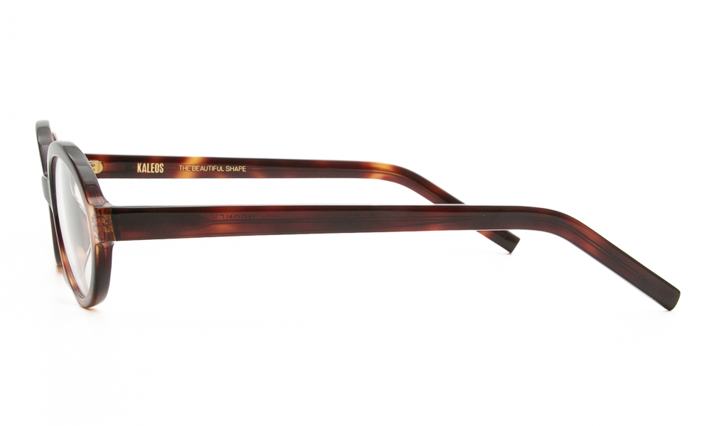 ΣΚΕΛΕΤΟΣ ΟΡΑΣΕΩΣ KALEOS MOONEY 4 5020 3