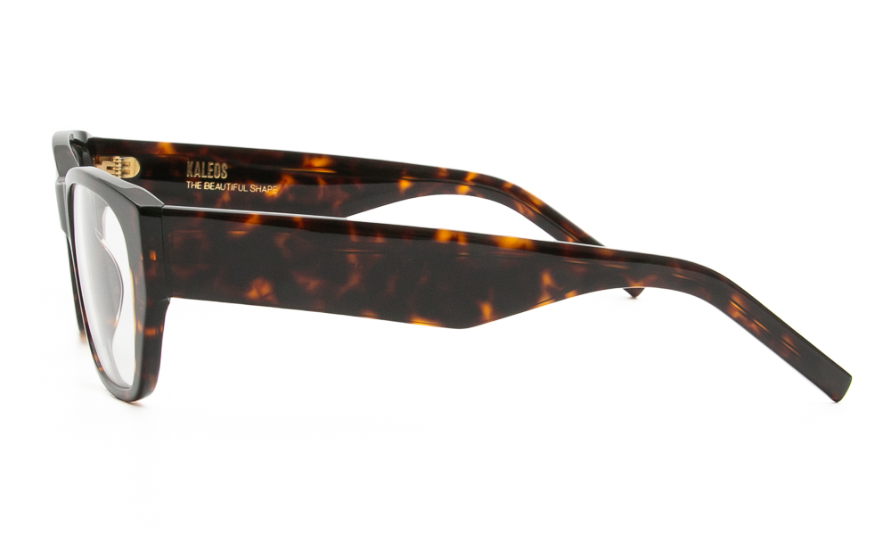 EYEWEAR KALEOS COHEN 2 5318 3