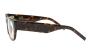 EYEWEAR KALEOS COHEN 2 5318