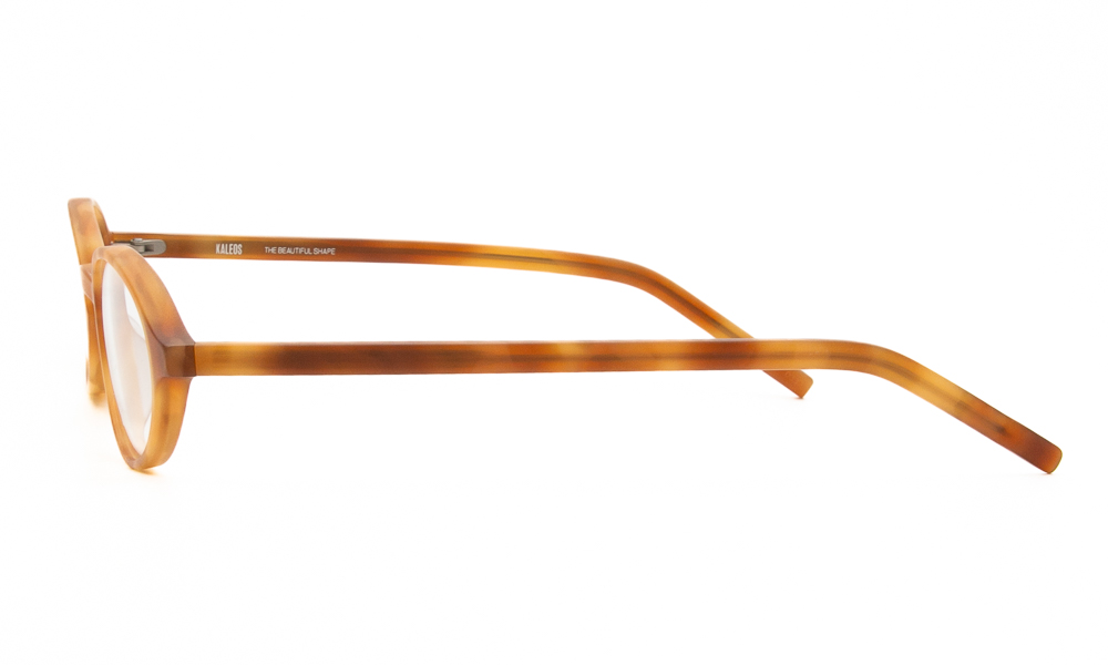EYEWEAR KALEOS RICK 3 5020 3