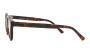 ΣΚΕΛΕΤΟΣ ΟΡΑΣΕΩΣ MORITZ 22001 & CLIP MR02 4821