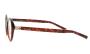 ΣΚΕΛΕΤΟΣ ΟΡΑΣΕΩΣ BOLON BJ3220 B20 5220