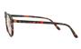 ΣΚΕΛΕΤΟΣ ΟΡΑΣΕΩΣ IZIPIZI ADULT SCREEN D TORTOISE 4820