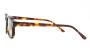 ΣΚΕΛΕΤΟΣ ΟΡΑΣΕΩΣ CAVALLIERI CAV5608 C2 4922