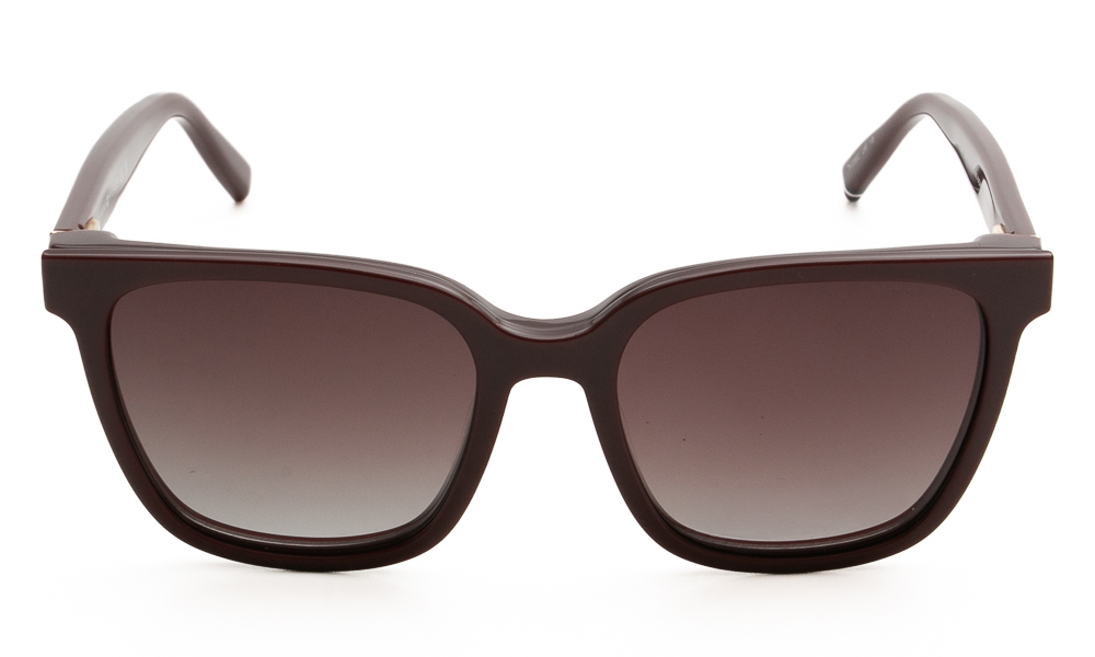 ΣΚΕΛΕΤΟΣ ΟΡΑΣΕΩΣ TOMMY HILFIGER 2399/C & CLIP LHF 5217 2