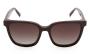 ΣΚΕΛΕΤΟΣ ΟΡΑΣΕΩΣ TOMMY HILFIGER 2399/C & CLIP LHF 5217