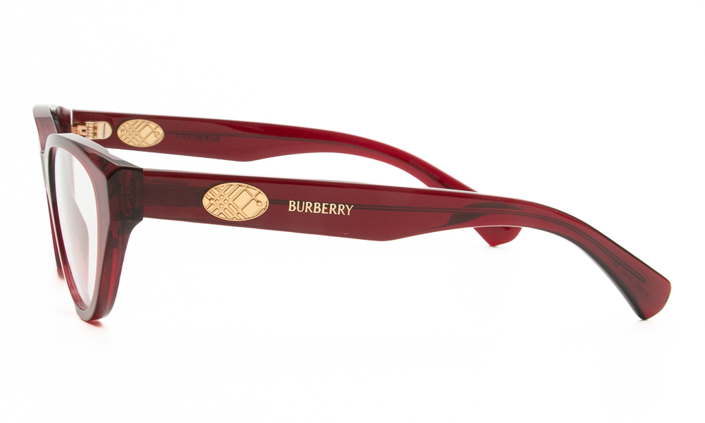 EYEWEAR BURBERRY 2467 4192 5417 3