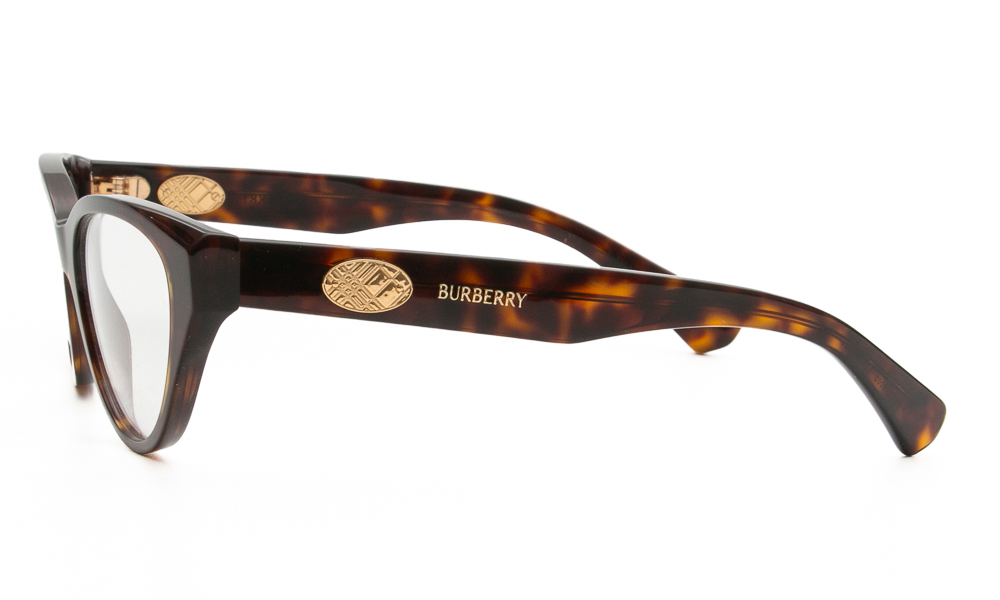 EYEWEAR BURBERRY 2467 3002 5417 3